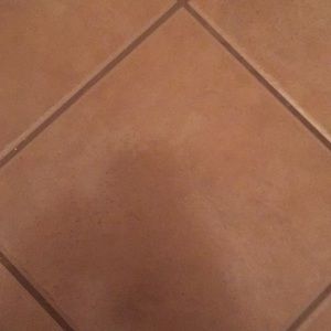 Meet your Posher, Rudy